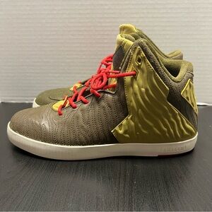 Nike Lebron 11 NSW Lifestyle ‘King of Miami’ (Men’s Size 10.5)